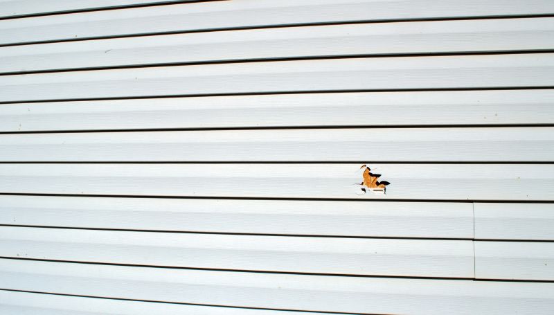 Siding Damage Assessment